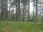 Sweden 2006-07 038